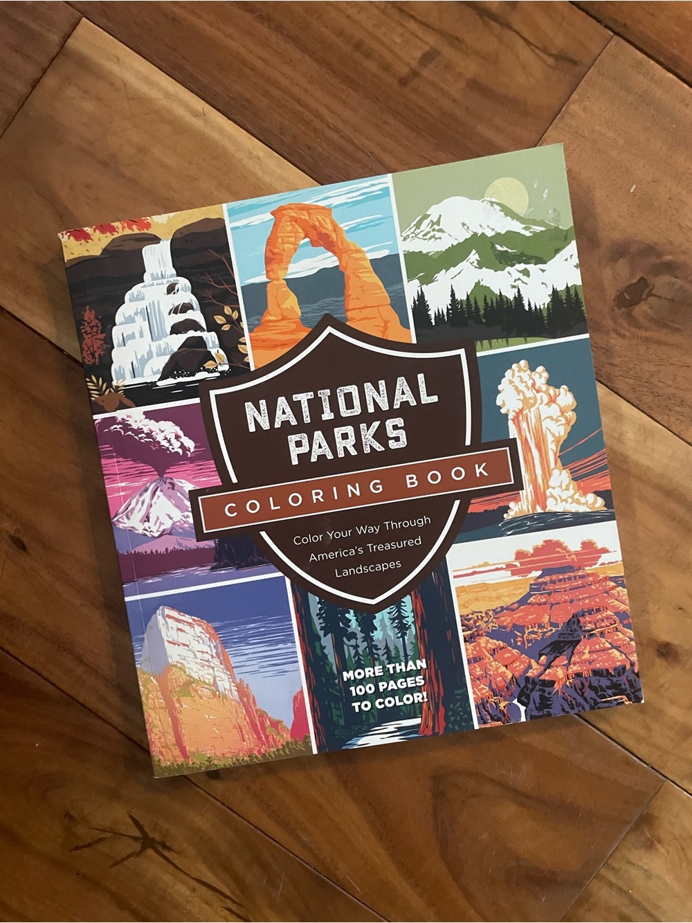 National Parks Coloring Book: Color your way 100 pages